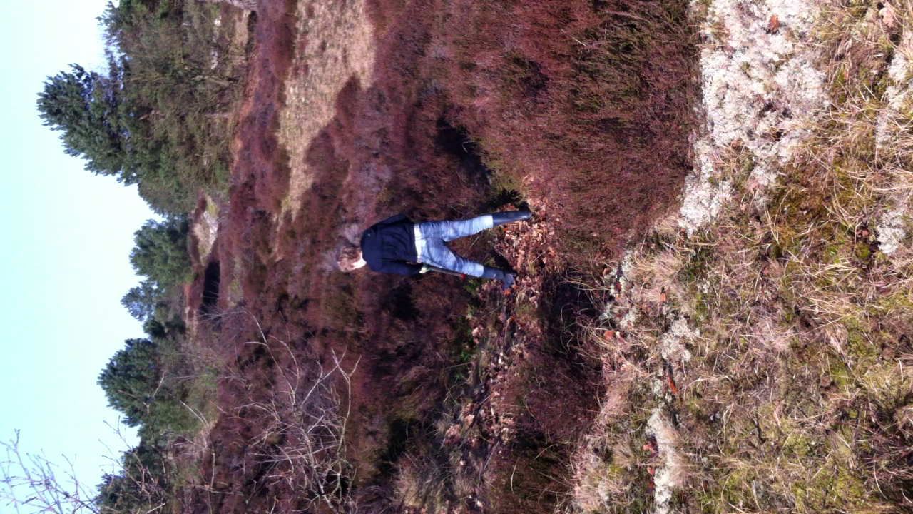 Groep 7-8 en het adoptieheideveld