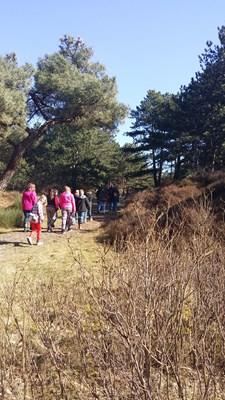 20150312_114549