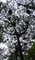 20160527_135848
