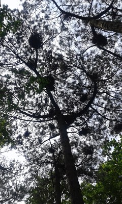 20160527_135848