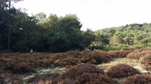 20161006_104549
