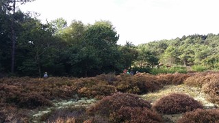 20161006_104549