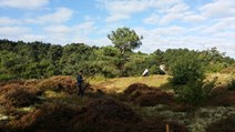 20161006_104553