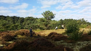 20161006_104553