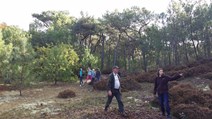 20161006_104605