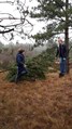IMG-20170216-WA0198