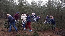 IMG-20170216-WA0205