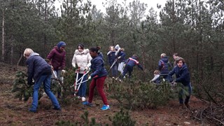 IMG-20170216-WA0205
