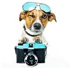 schoolfotograaf
