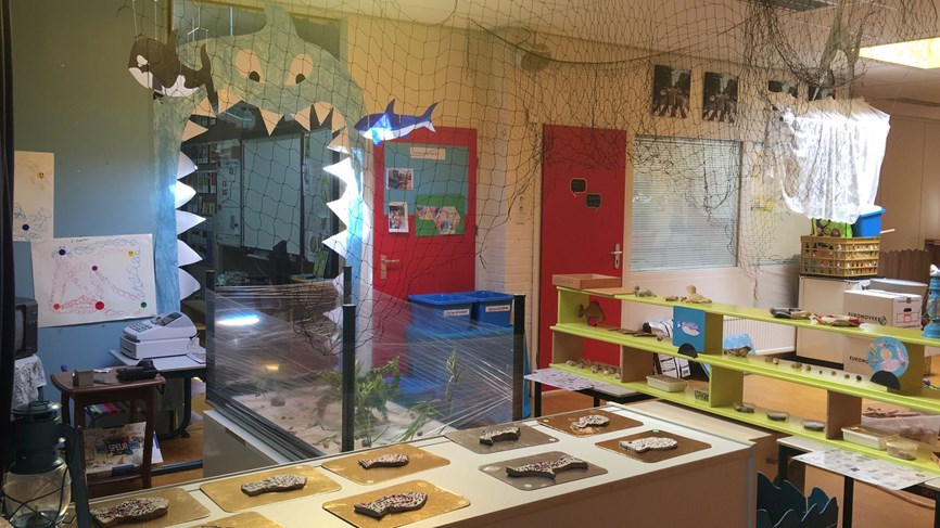 aquarium2