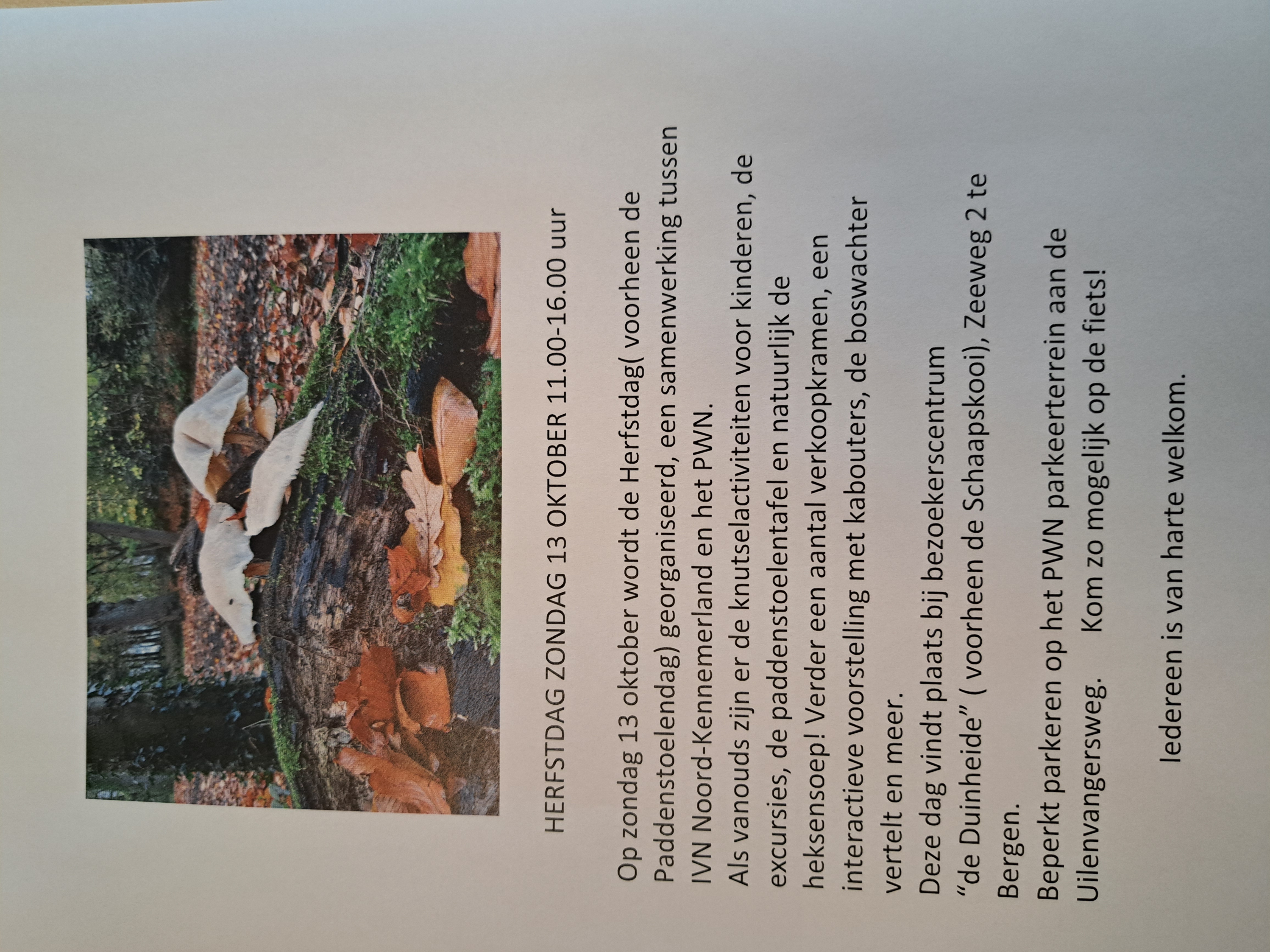 Activiteiten voor kinderen