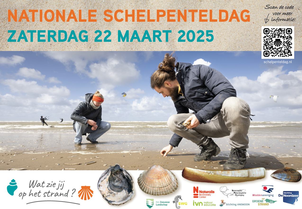 Zaterdag 22 maart Schelpenteldag!